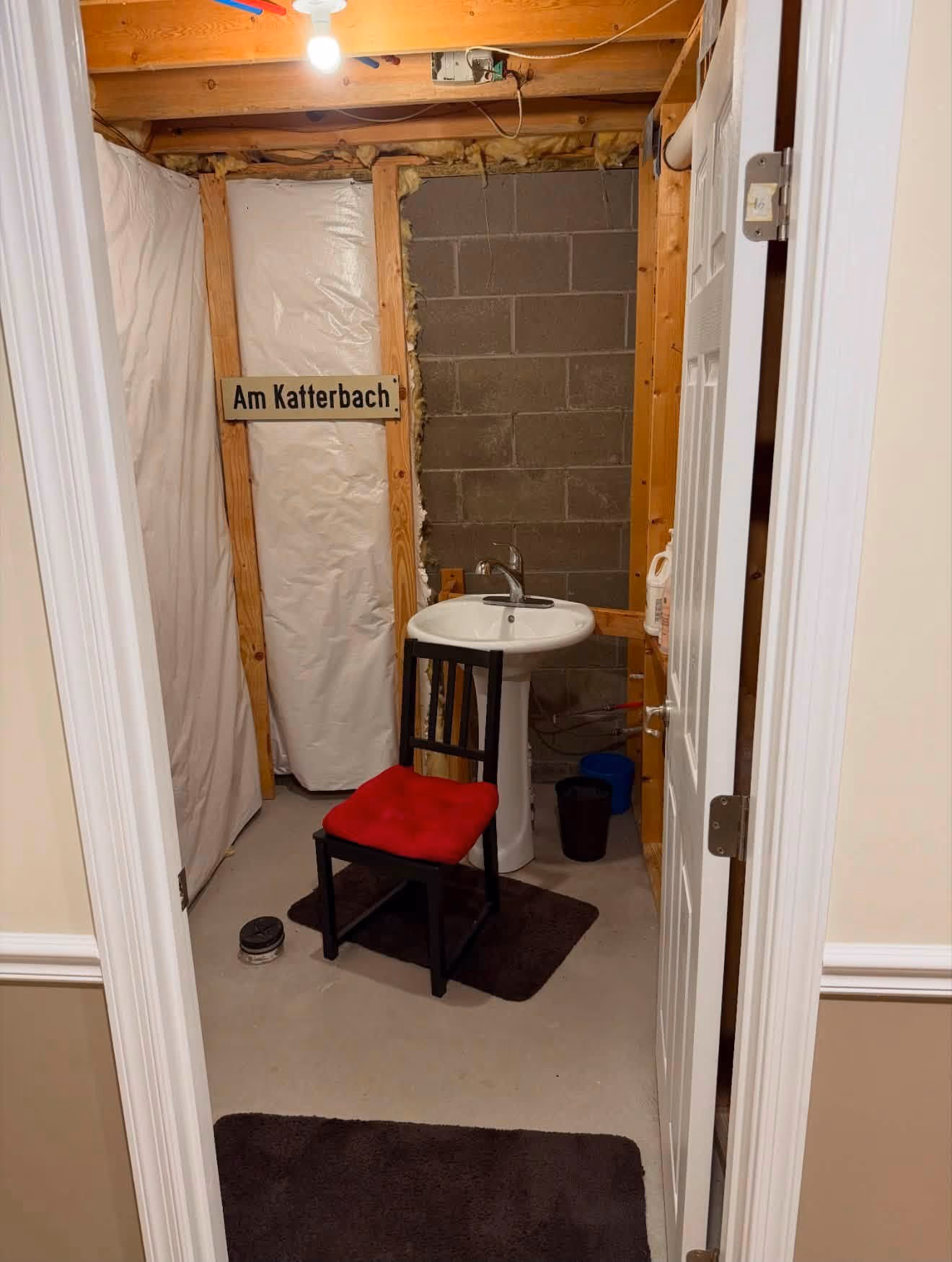 Unfinished basement bathroom before renovation